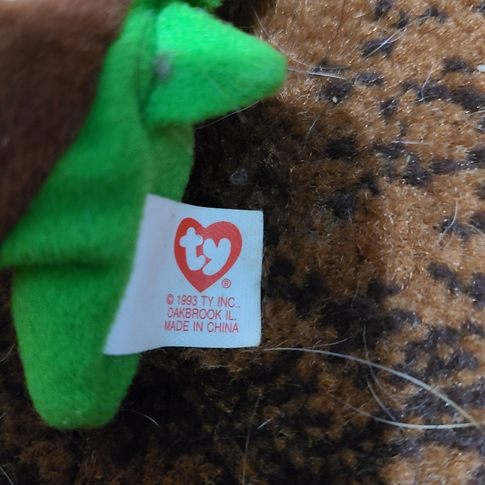 Rare Speedy Beanie Baby With Errors